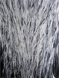 With Each Breath A Question, Each Shadow An Answer