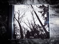 Image 2 of Ruinous Antipathy "Frail" CDR