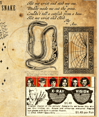 Image 2 of Snake Piss Records Presents: The Year of the Snake Vol. 2 Cassette (Pre-Order)