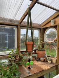 Image 1 of Long Plant Hanger - Dark Green Ferns