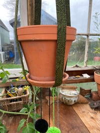 Image 2 of Long Plant Hanger - Dark Green Ferns