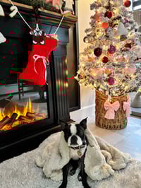 Image 5 of Boston gingerbread black patina 