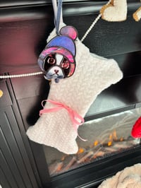 Image 3 of Boston beanie purple/blue 