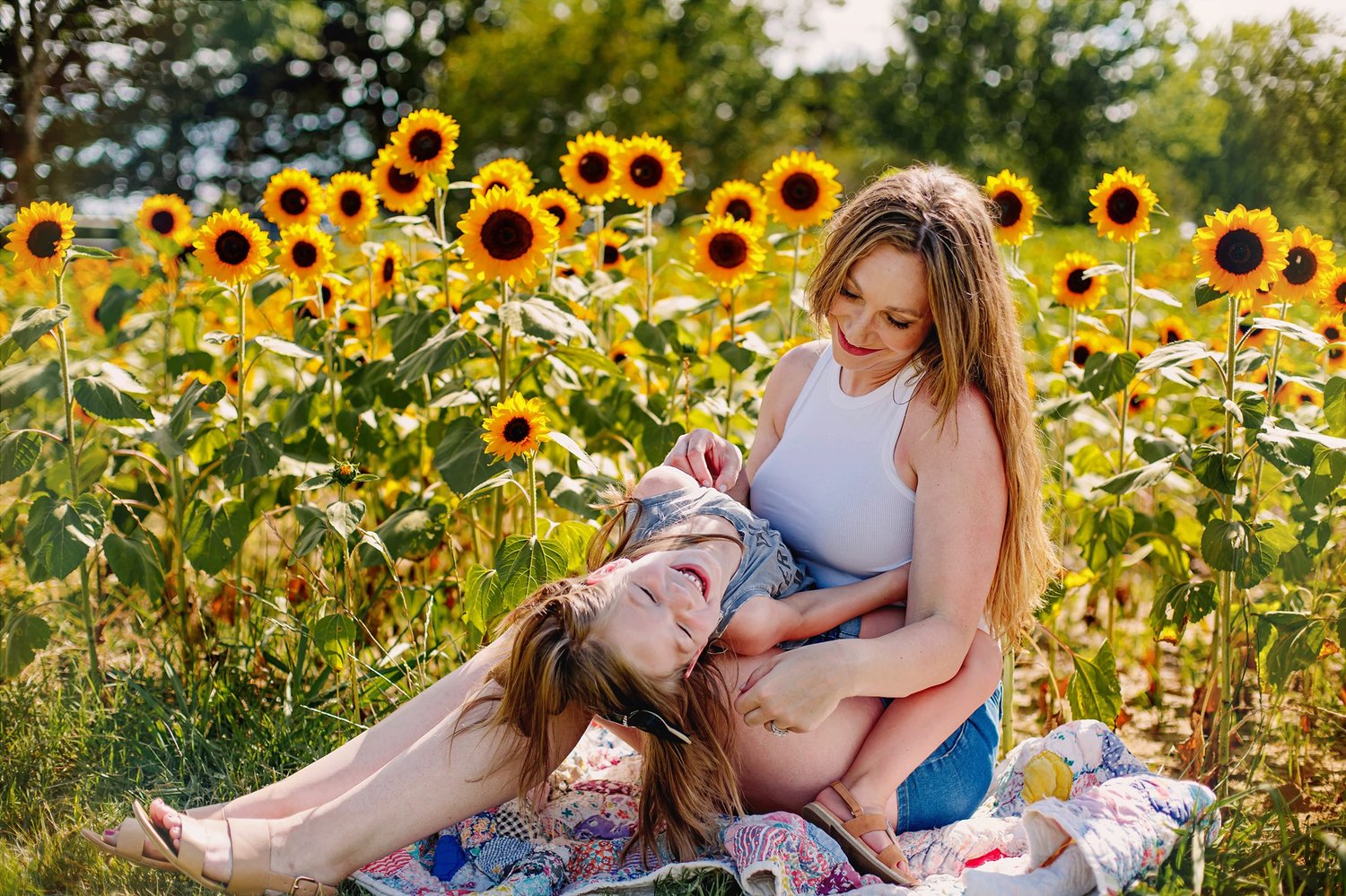 Image of Sunflower Farm | July 2026 | TEXAS