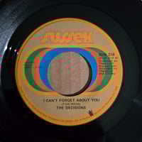 Image 2 of The Decisions - You Look Like An Angel