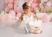 Little Milestones 2026