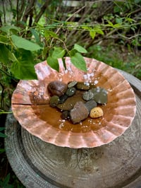 Image 4 of Scallop Shell Bowl