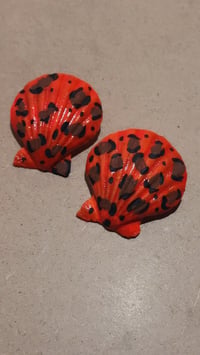 Animal Print Seashell Earrings 