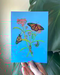Monarch Art Print