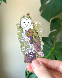 Image 1 of Mossy Owl Weatherproof Sticker