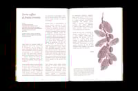 Image 4 of Uncommon Fruits for Common Recipes