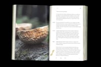 Image 4 of Log: Notes on Building-with