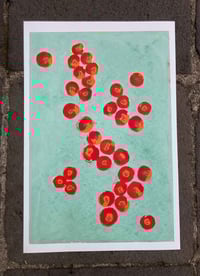 Image 2 of PALE SAGE