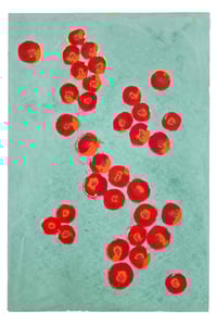 Image 1 of PALE SAGE