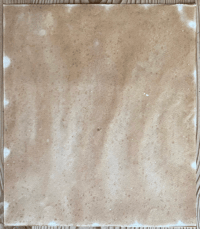 Image 4 of Spring Flowers vintage print by Mary Fedden