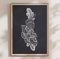 ORNAMENTAL MOTH AND FIG