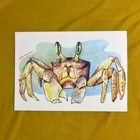 Image 3 of Sketches ​​🦀​🌺​ 🍄​ 