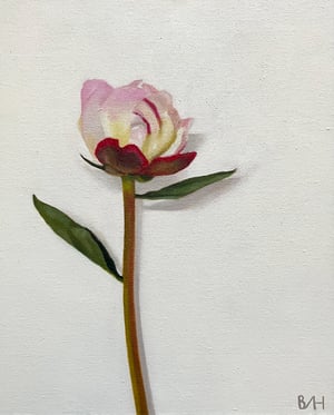 Image of Further Doubt