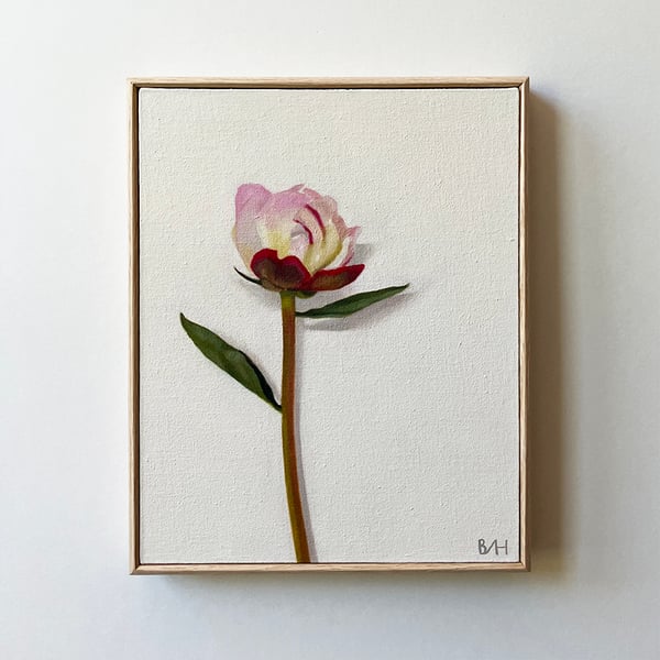 Image of Further Doubt