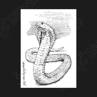 Image 3 of Animalitos ​🐍​🦊​🦉​🦋​  