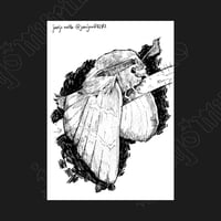 Image 4 of Animalitos ​🐍​🦊​🦉​🦋​  