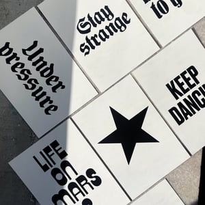 Image of Bowie collection pack