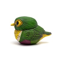 Image 1 of Chubby Bird: Geelvink Fruit Dove