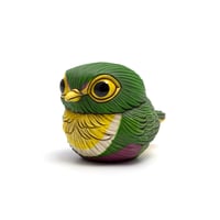 Image 2 of Chubby Bird: Geelvink Fruit Dove