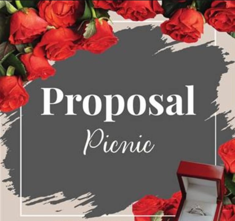 Outdoor Luxury Picnic (Location of your choice) Image 6