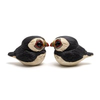 Image 9 of Chubby Bird: Puffin