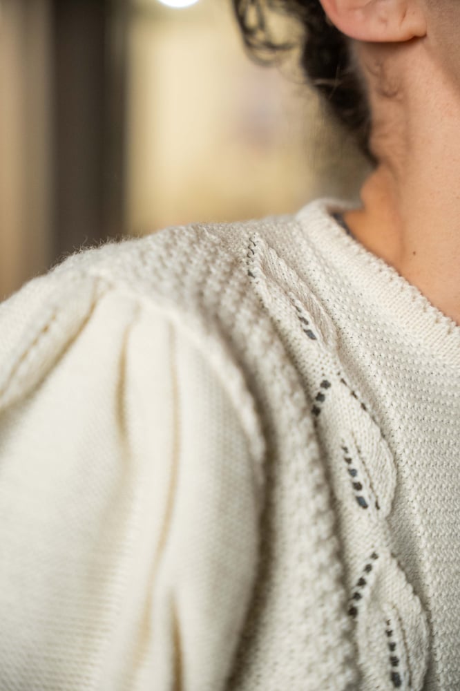 Image of Cardigan white tirolese