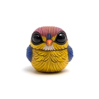 Image 3 of Chubby Bird: Oriental Dwarf Kingfisher