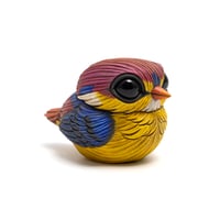 Image 5 of Chubby Bird: Oriental Dwarf Kingfisher