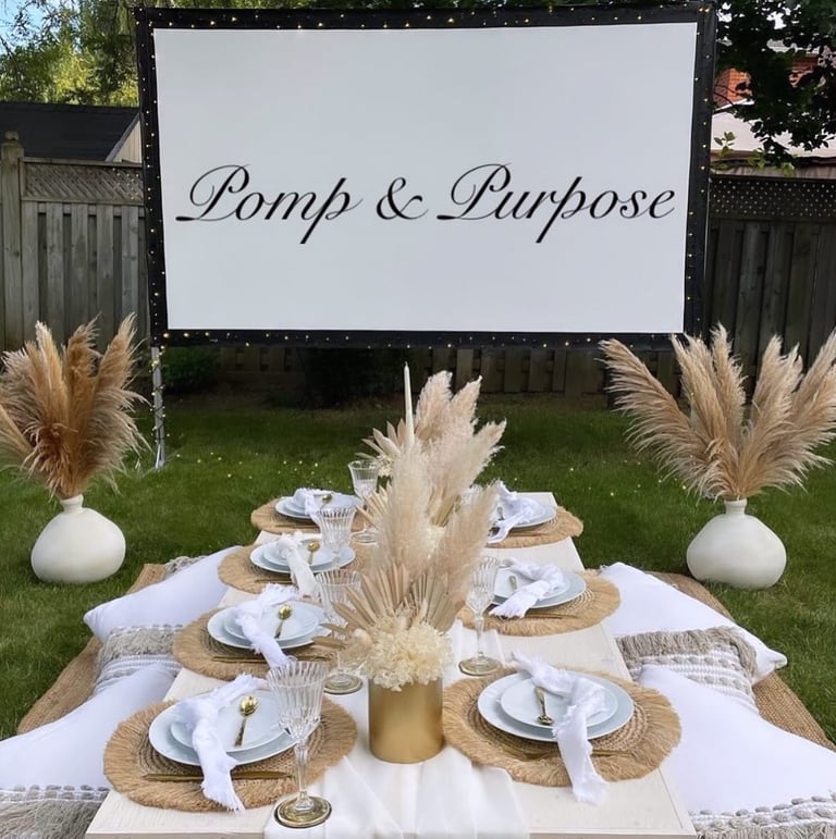 Backyard Movie Night Rentals Image 9