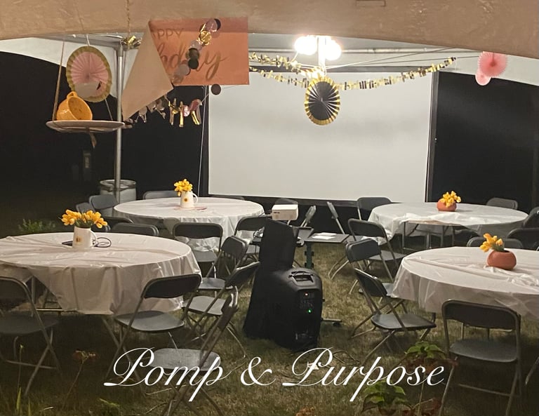 Backyard Movie Night Rentals Image 10