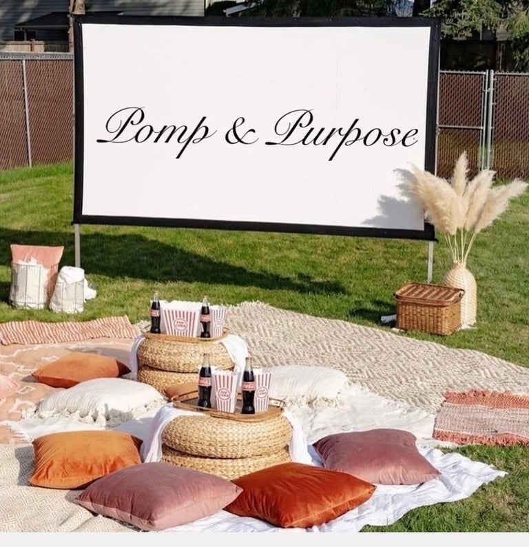 Backyard Movie Night Rentals Image 12