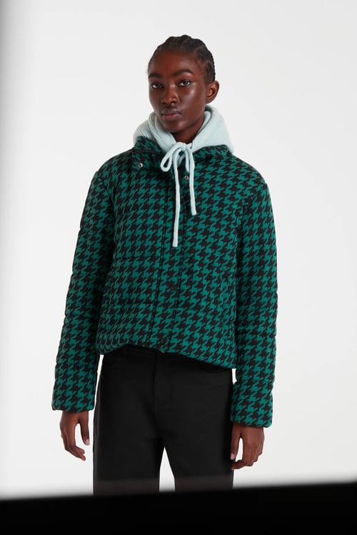 Image of 4-Abrigo para de gallo