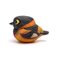 Image 1 of Chubby Bird: Campo Troupial