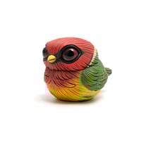 Image 2 of Chubby Bird: Red Headed Barbet
