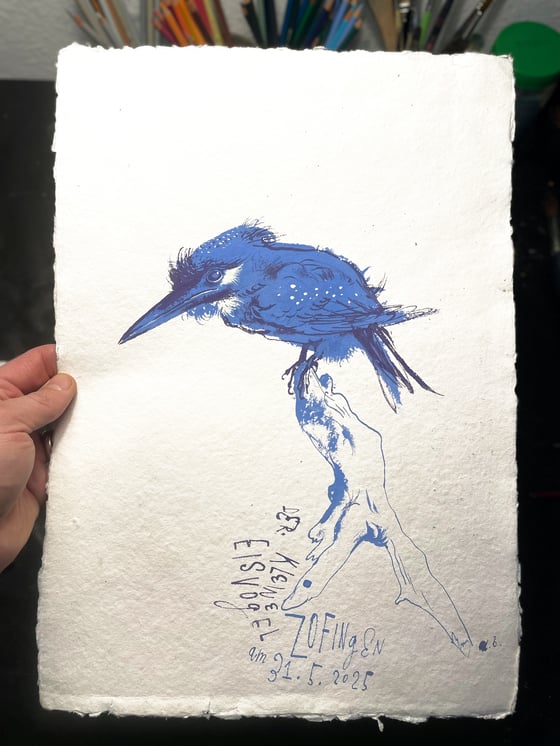 Image of Eisvogel / King fisher