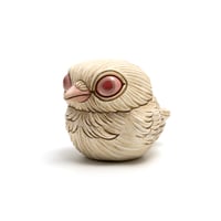 Image 2 of Chubby Bird: Albino Raven
