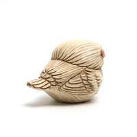 Image 5 of Chubby Bird: Albino Raven