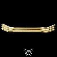 Image 2 of CPTN_BLOOB Wave Series