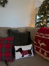 Dachshund in Sweater 