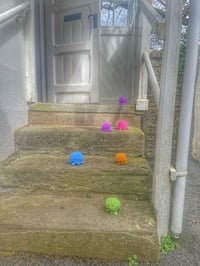 Image 17 of Naomi & Noah Gift Vouchers  