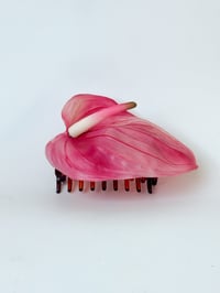 Image 1 of sample bubblegum anthurium claw