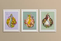 Image 5 of 冬  | Fuyu 