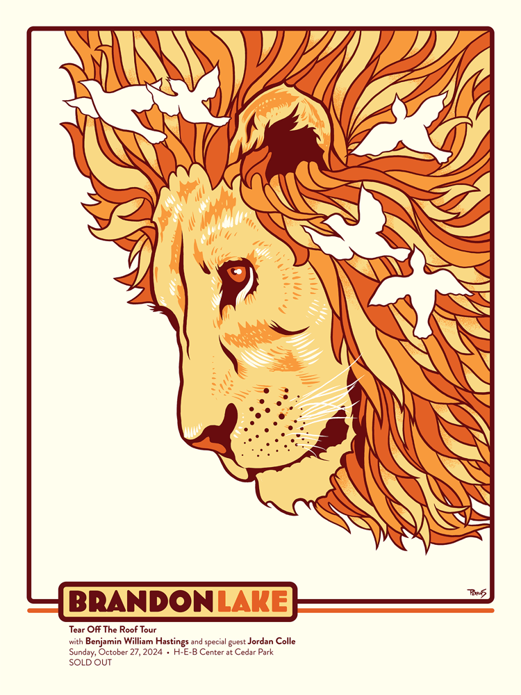 Image of Brandon Lake, Austin 2024