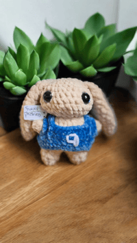 Image 1 of Number 9 Sports Bunny