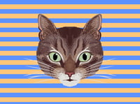 Image 4 of CAT POUCH - ORANGE AND BLUE